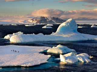 Antarctic Sound