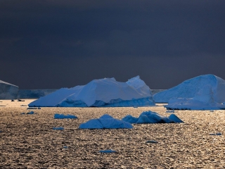 Antarctic Sound