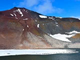 Paulet Island
