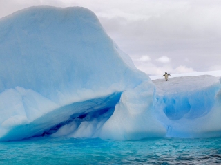 Antarctic Peninsula, Brown Bluff