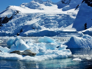 Antarctic Peninsula, Chierva Cove