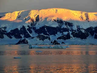 Antarctic Peninsula, Portal Point