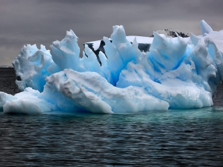 Antarctic Peninsula, Marguerite Bay