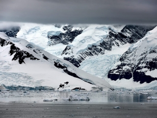 Antarctic Peninsula, Paradise Harbour